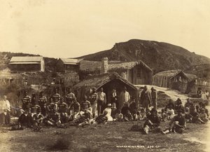 Whakerewarewa, 1889 nebo 1890 (tisk alba)